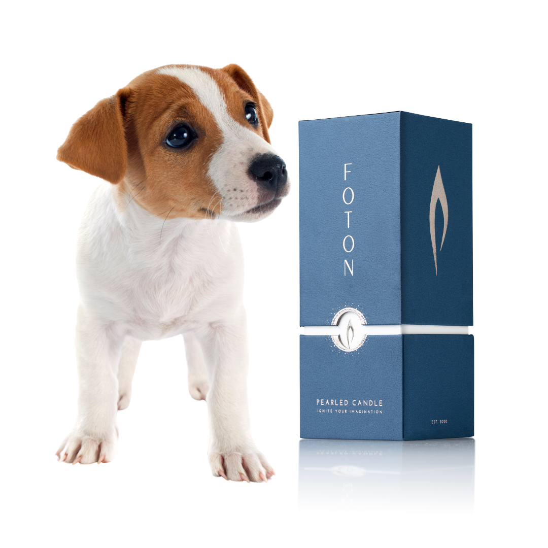 Pet Safe Candles