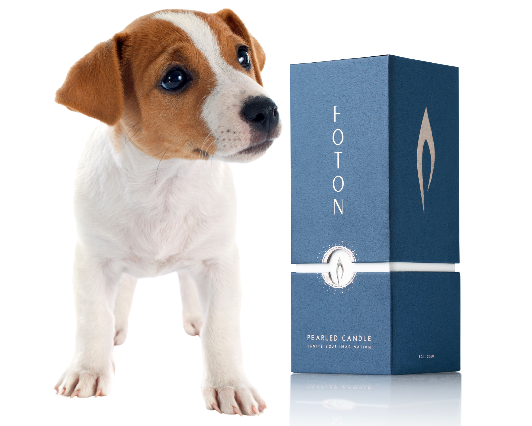 Pet Safe Candles